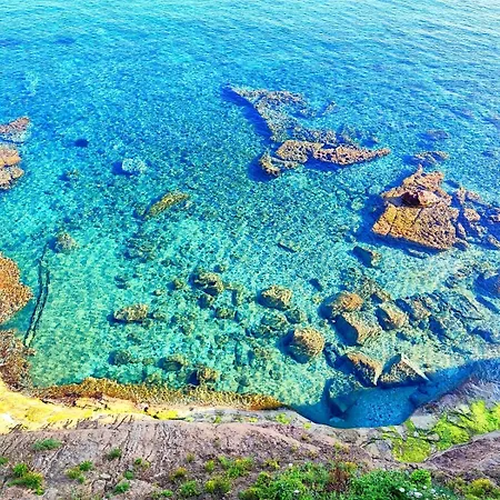 La Pura Vida Castelsardo